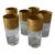 Vintage Cambridge Tumblers With Etch Gold Bird Design - Set of 6 For Sale