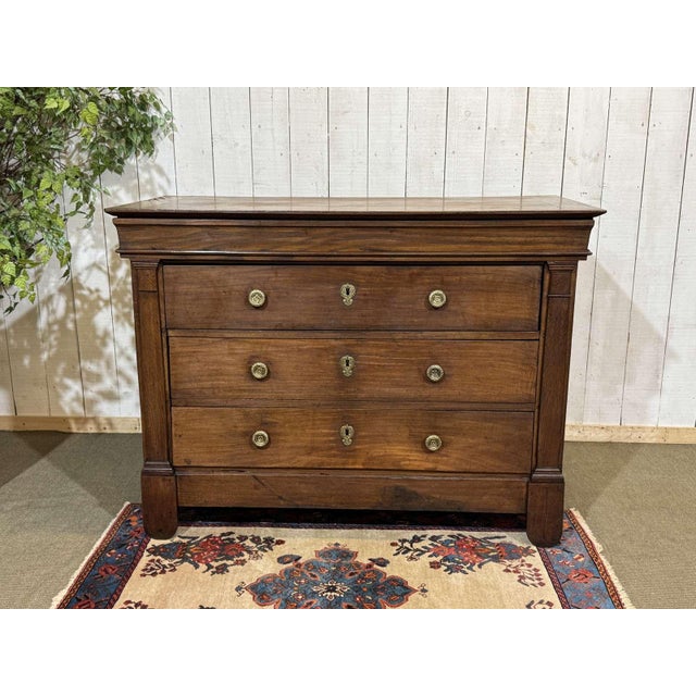 19th Century Restoration Chest of Drawers in Chestnut For Sale - Image 16 of 16