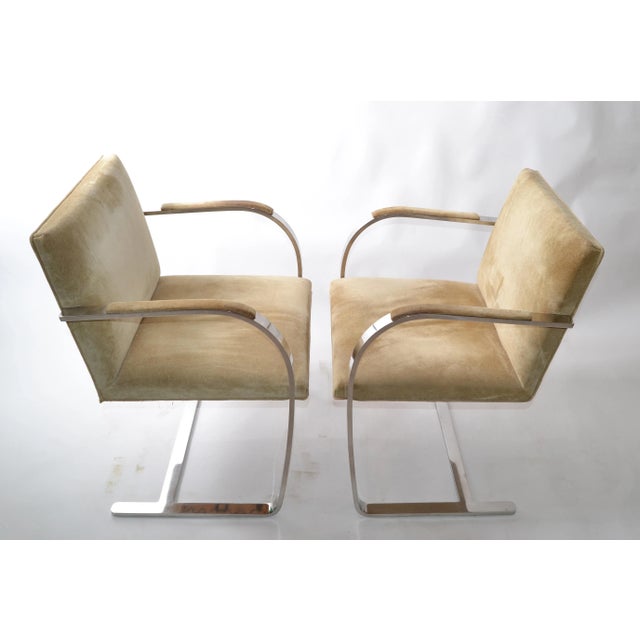 Beige Mies Van Der Rohe for Knoll Beige Ultrasuede Stainless Steel Brno Chairs - Pair For Sale - Image 8 of 13