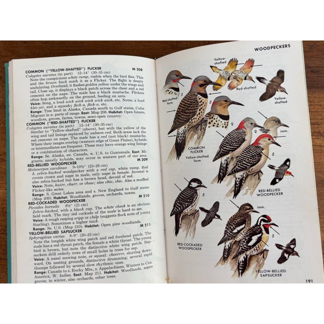 Paper 1980s Peterson Field Guide to Birds For Sale - Image 7 of 10