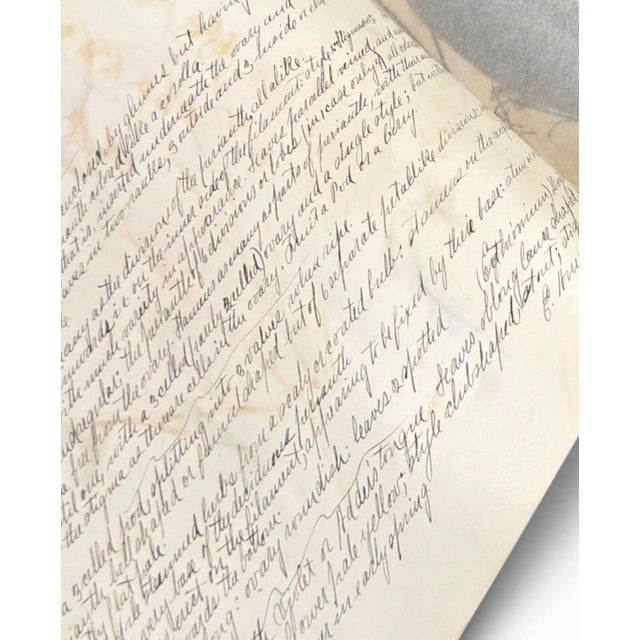 c.1900 Herbarium Album With 26 Specimens, Hand-Drawn Studies & Calligraphic Manuscript For Sale - Image 14 of 17