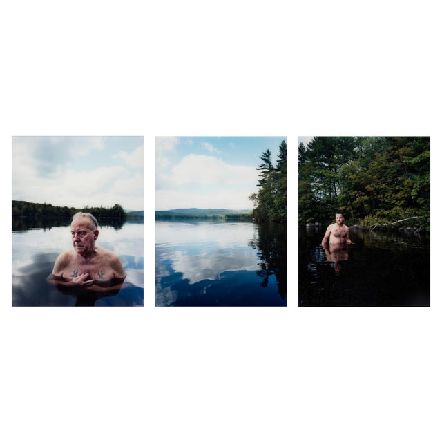 2000 - 2009 Triptych Photographs Rock Bottom by David Hilliard For Sale - Image 5 of 10