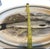 1980s 1980s Portmeirion Compleat Angler Salmon Fish Oval Platter 14" For Sale - Image 5 of 5