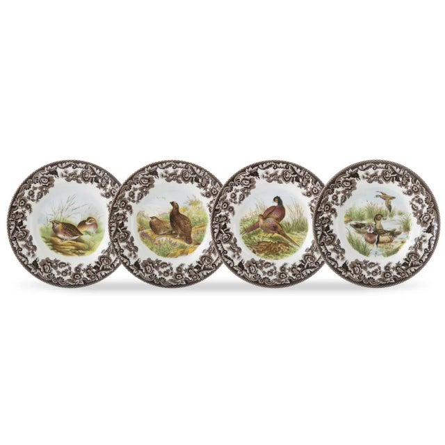 Spode Spode Woodland Canape Plates 6.5", Birds - Set of 4 For Sale - Image 4 of 4