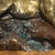 1990s 1990s "Cougar Bluff" Bronze Sculpture by Danny D. Edwards For Sale - Image 5 of 13