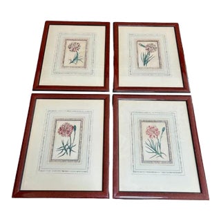 Set of 4 Antique Botanical Engravings by Robert Sweet, Hand-Colored C. 1827-28 For Sale