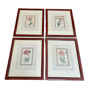Set of 4 Antique Botanical Engravings by Robert Sweet, Hand-Colored C. 1827-28