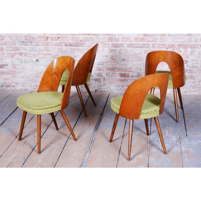 Textile Mid-Century Chairs in Walnut attributed to Antonín Šuman, Czech, 1950s, Set of 4 For Sale - Image 7 of 12