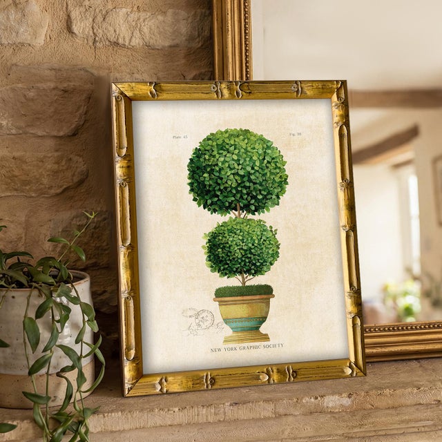 This reproduction giclee is print (2) from our vintage "Topiary Garden" series. Please note there are 4 images in this...