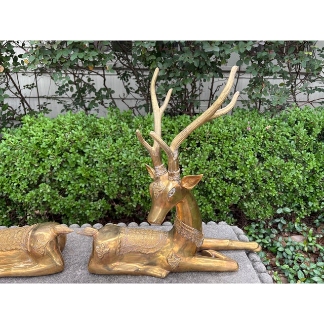 1960s 1960s Pair of Hollywood Regency Brass Stags For Sale - Image 5 of 13