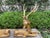 1960s 1960s Pair of Hollywood Regency Brass Stags For Sale - Image 5 of 13