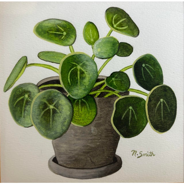 Contemporary Original Signed and Framed Watercolor Painting – Pilea Peperomioides (Chinese Money Plant) For Sale - Image 3 of 3