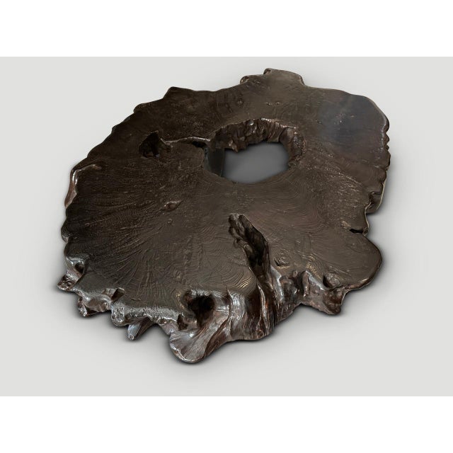 Wood Andrianna Shamaris Century Old Teak Wood Coffee Table For Sale - Image 7 of 18