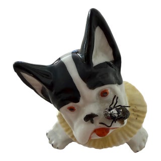 Antique German Novelty French Bulldog/Boston Terrier Porcelain Figurine Featuring an Applied Fly For Sale