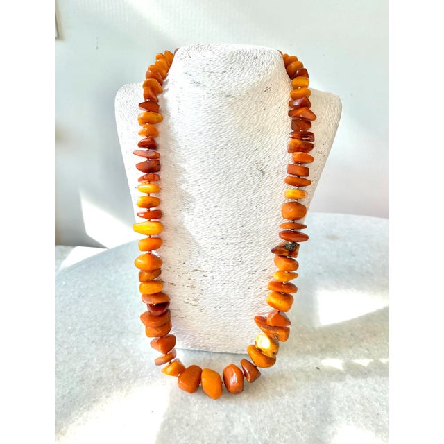 Vintage Butterscotch Amber Beaded Necklace With Goldtone Spacers For Sale - Image 4 of 4