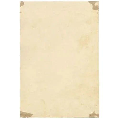 E.B.R., Delphiniums & Fuchsia Flower, 1842, Watercolour Painting For Sale - Image 3 of 4