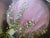 Farmhouse Pink Velvet Christmas Ornaments Gold Sequin Accents in Original Box a Set of Six For Sale - Image 3 of 8
