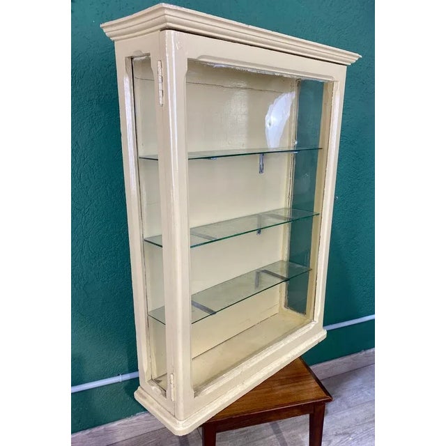 Painted Pine Wall Showcase, 1960s For Sale - Image 6 of 12