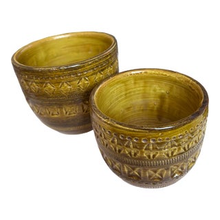Two Aldo Londi for Bitossi Ceramic Mustard Flower Pots For Sale