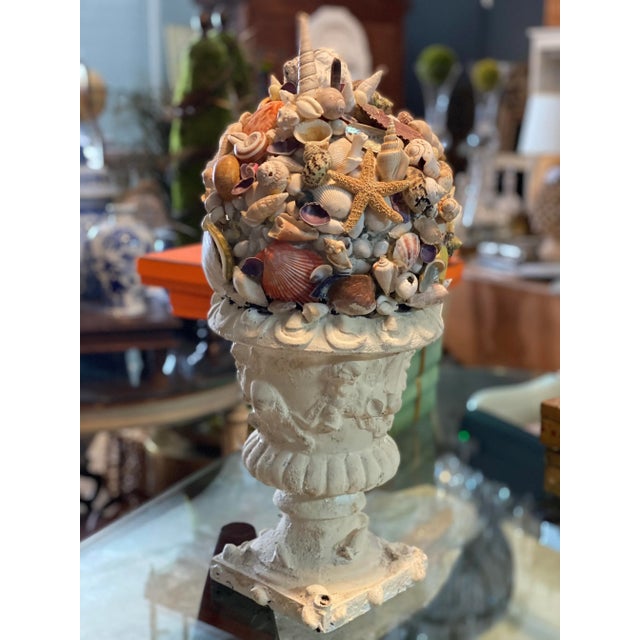 Vintage handpicked assorted natural sea shells covered topiary over a plaster French Coupe base.