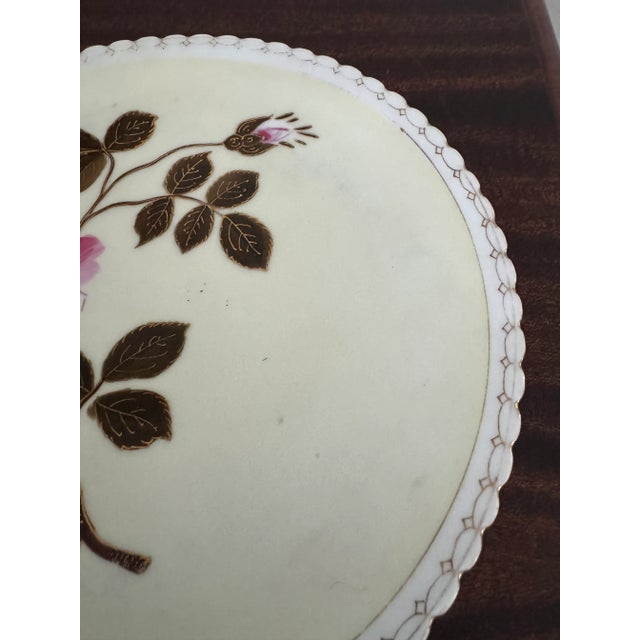 19th Century Pink Floral Cabinet Plates a Pair For Sale - Image 10 of 12