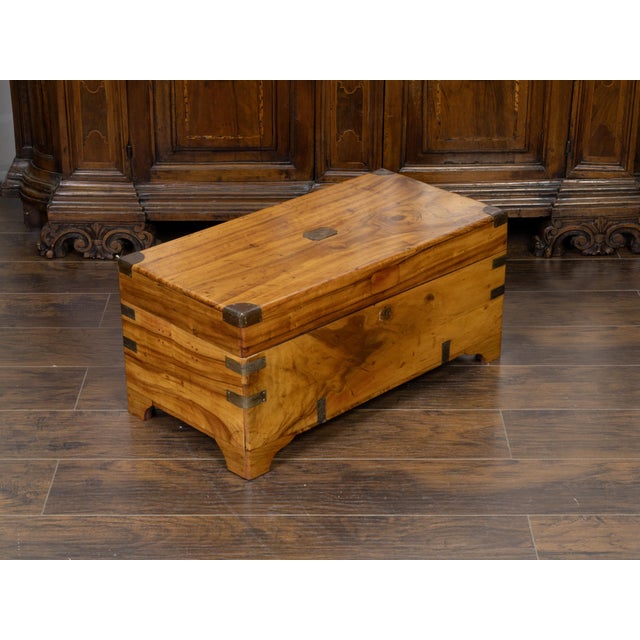 English 1890s Camphor Wood Small Trunk with Brass Accents and Bracket Feet For Sale - Image 4 of 10
