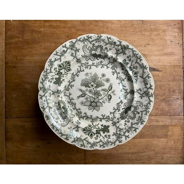 Green Antique Wedgewood 'Coral Border' Green Transferware 10" Dinner Plates - Set of 12 For Sale - Image 8 of 14