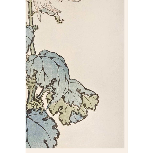 Not Yet Made - Made To Order White Chrysanthemum by Hasegawa, Vintage Japanese Botanical Art Print, 36" X 54" For Sale - Image 5 of 9