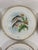 Late 19th Century French Limoges Charles Ahrenfeldt Fish Dinner Plates, Set of Six For Sale - Image 6 of 16