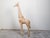 Mid-Century Modern Mid-Century American Carved Wooden Giraffe Sculpture with Natural Finish For Sale - Image 3 of 12