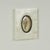 Pair of Petite Bone Framed Seashell Prints For Sale - Image 15 of 16