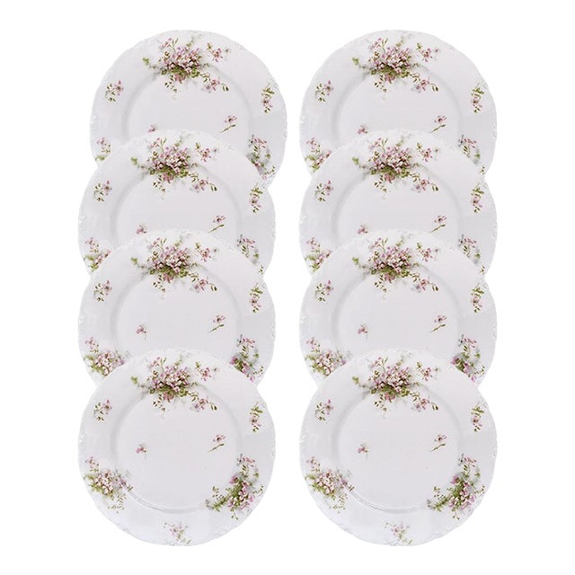 Limoges Schleiger 146a TheodoreHaviland Fine French Porcelain Dinner Plates - Set of 8 For Sale