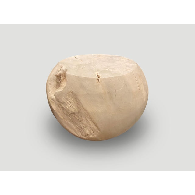 Andrianna Shamaris Bleached Teak Wood Drum Side Table For Sale - Image 9 of 18