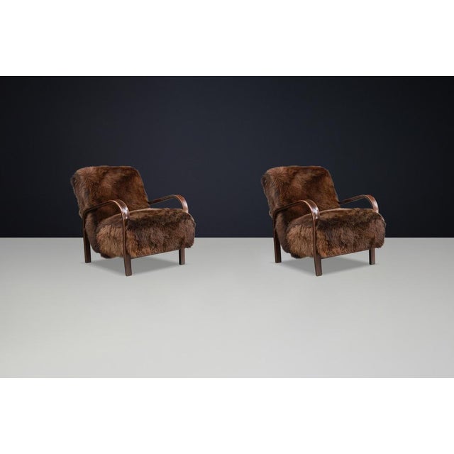 Brown Set of Lounge Chairs in Texel Sheepskin and Brown Patinated Frame by Kozelka & Kropacek, 1940s For Sale - Image 8 of 11