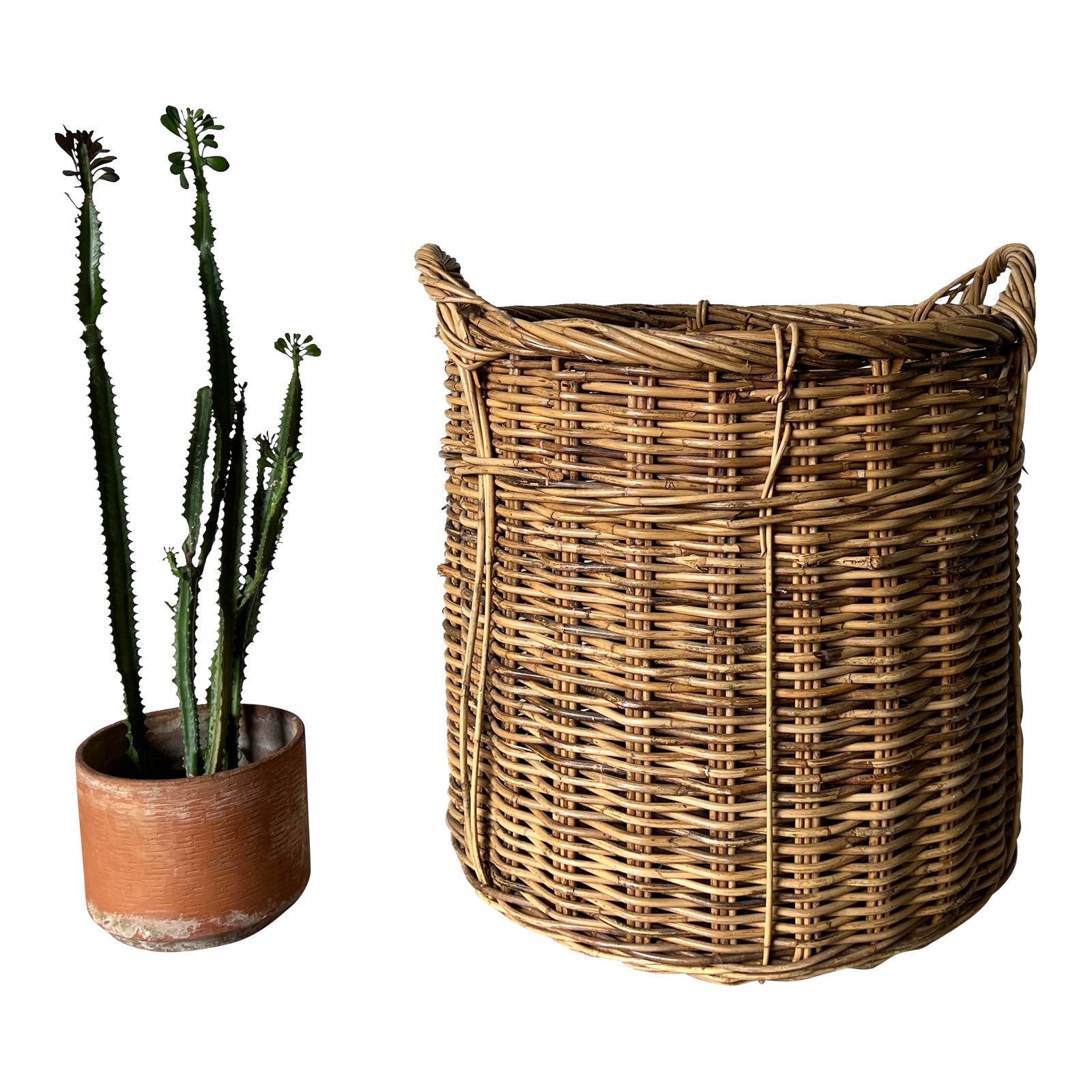 Large Vintage Organic Woven Wicker Basket / Planter Chairish