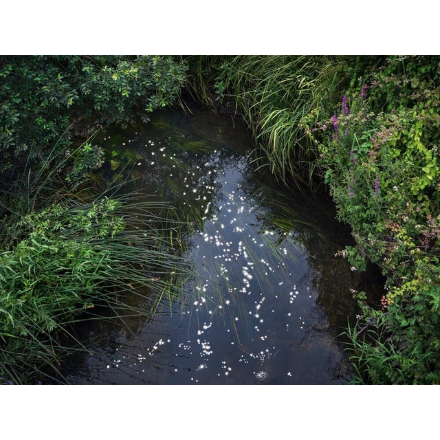 Chalk Streams 12 is a stunning C-Type Digital C-Type print on Fuji Maxima Matte paper. This 90cm x 120cm size print is...
