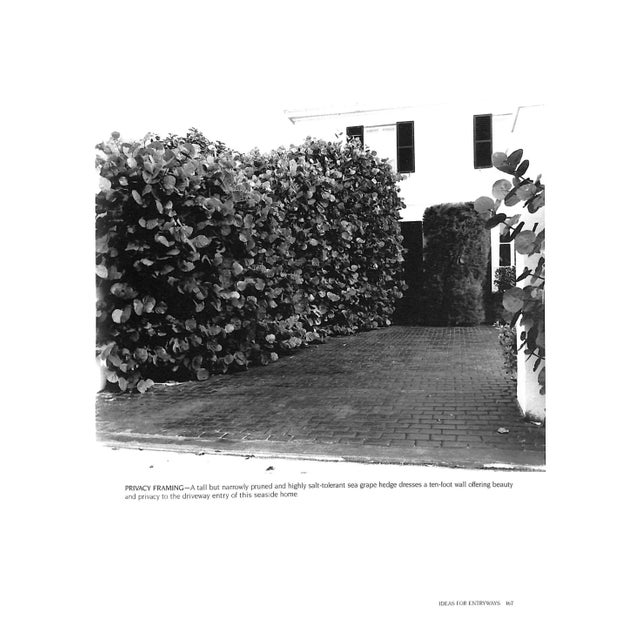 Traditional "Landscaping in Florida: A Photo Idea Book" 1989 Perry, Mac For Sale - Image 3 of 12