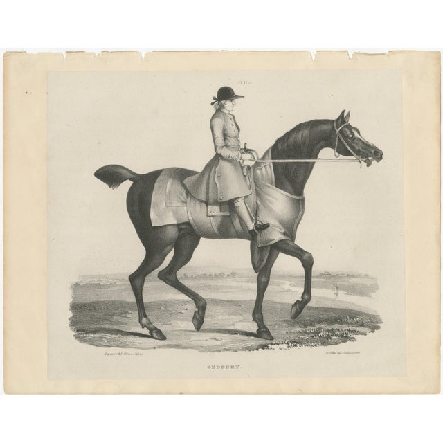 Maxim Gauci, Sedbury Equestrian Horse & Rider Portrait, 1840, Lithograph For Sale - Image 3 of 10