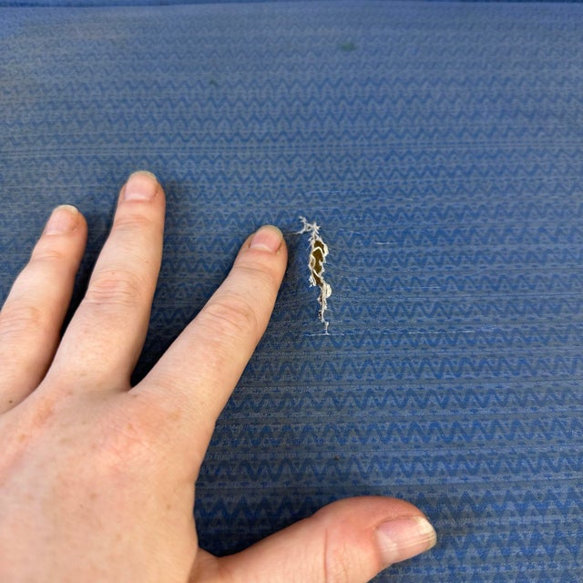 Blue Cleo Baldon Wrought Iron Side Chair For Sale - Image 8 of 12