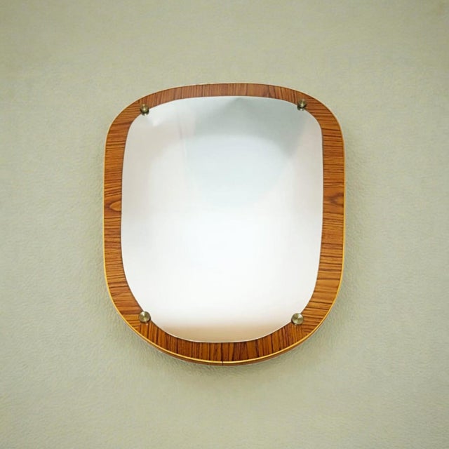 Vintage Organic Wall Mirror with Wood-Veneered Panel, 1960s For Sale - Image 6 of 8