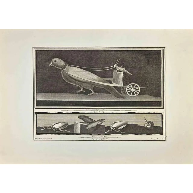Grasshopper Driving a Parrot-Cart from "Antiquities of Herculaneum" is an etching on paper realized by Nicola Vanni after...