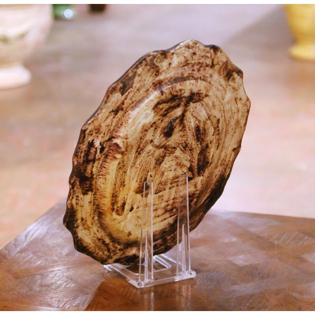 Brown 19th Century French Tardieu Fils Menton Faience Barbotine Citrus Wall Platter For Sale - Image 8 of 9