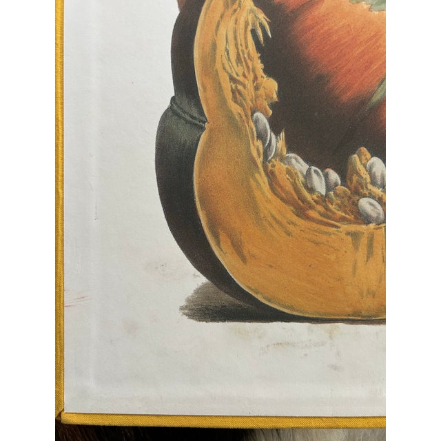 1990s Taschen ‘The Vegetable Garden’ For Sale - Image 5 of 10