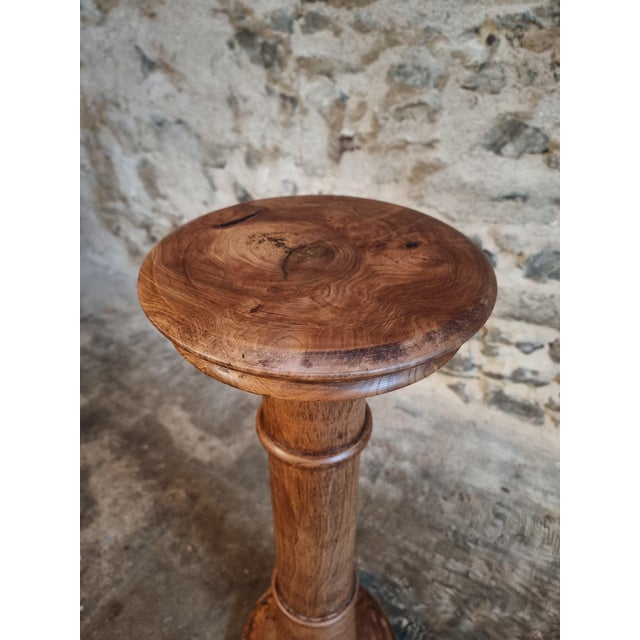 Antique French Elmwood Pedestal, 1900 For Sale - Image 6 of 13