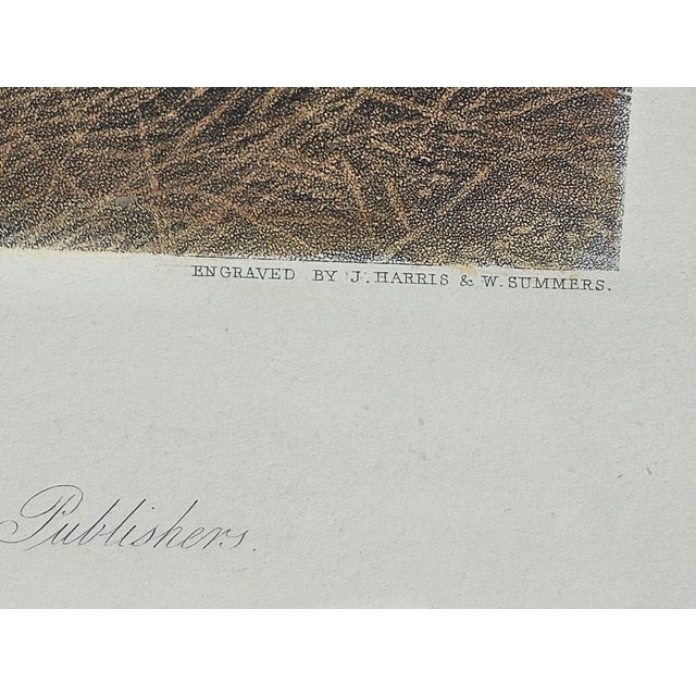 Antique 1855 Hand-Colored Engraving "Sow and Pigs" After j.f. Herring Sr. — Framed Rustic Farm Scene For Sale In Los Angeles - Image 6 of 11