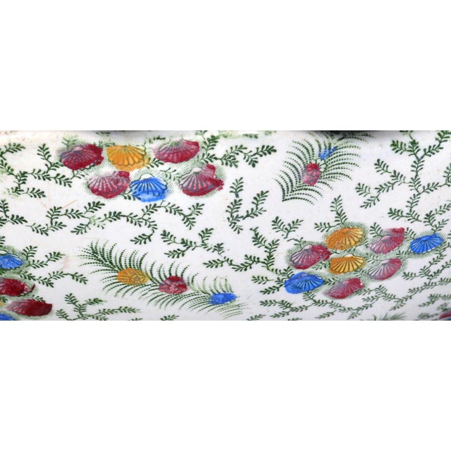 Victorian Old Hall Earthenware ‘Shell’ Pattern Tazza or Comport, Polychrome Circa 1861–1886 For Sale - Image 3 of 10