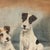 1930s Frederick Thomas Daws, Parson Russell Terrier Pups, Oil on Canvas, 1930 For Sale - Image 5 of 6