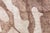 Modern Abstract Organic Beige And Dusty Rose Rug "Rhizome" by Doris Leslie Blau For Sale In New York - Image 6 of 6
