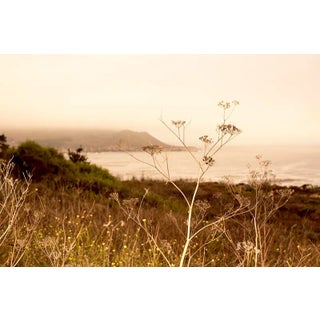 NorCal 8 by Flavia Cureteu, Unframed Art Print, 36x24 For Sale