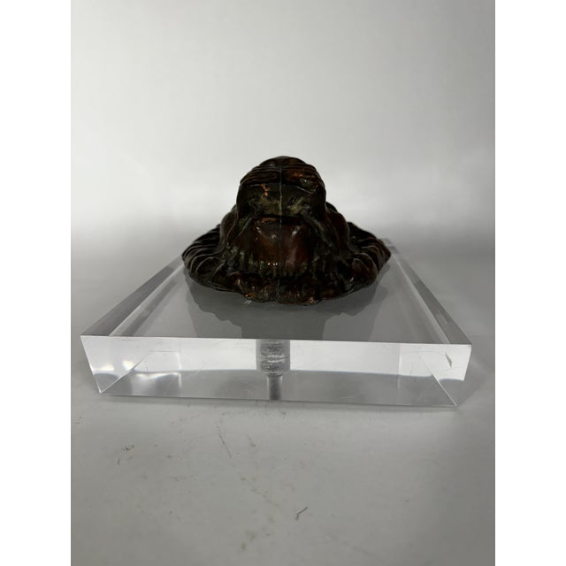 Early 20th Century Antique Zinc Lion Sculpture on Lucite Mount For Sale - Image 5 of 7